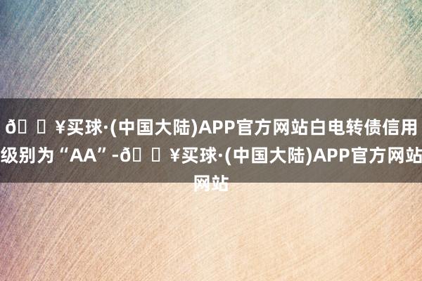 🔥买球·(中国大陆)APP官方网站白电转债信用级别为“AA”-🔥买球·(中国大陆)APP官方网站