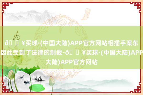 🔥买球·(中国大陆)APP官方网站相插手案东谈主员也因此受到了法律的制裁-🔥买球·(中国大陆)APP官方网站