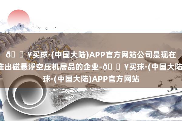 🔥买球·(中国大陆)APP官方网站公司是现在国内商场较早推出磁悬浮空压机居品的企业-🔥买球·(中国大陆)APP官方网站