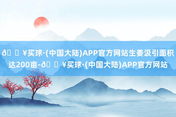 🔥买球·(中国大陆)APP官方网站生姜汲引面积达200亩-🔥买球·(中国大陆)APP官方网站