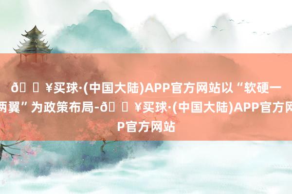 🔥买球·(中国大陆)APP官方网站以“软硬一体两翼”为政策布局-🔥买球·(中国大陆)APP官方网站