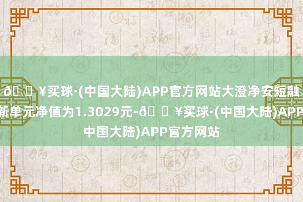 🔥买球·(中国大陆)APP官方网站大澄净安短融债券A最新单元净值为1.3029元-🔥买球·(中国大陆)APP官方网站