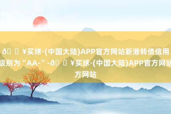 🔥买球·(中国大陆)APP官方网站新港转债信用级别为“AA-”-🔥买球·(中国大陆)APP官方网站